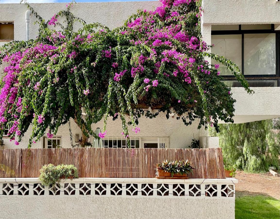 Casa Zoltan Διαμέρισμα Costa Del Silencio Εξωτερικό φωτογραφία